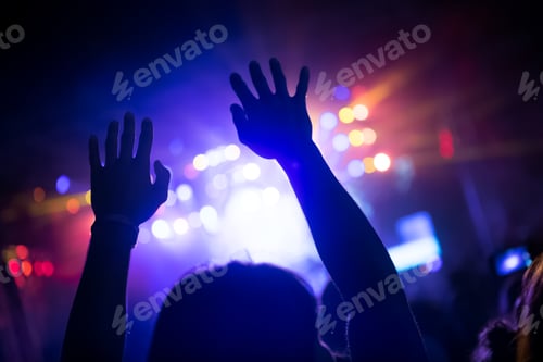 Preview: Picture of party people at music festival