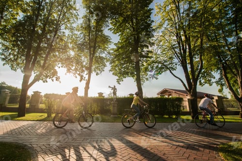 Preview: Students spending time together in summer park.