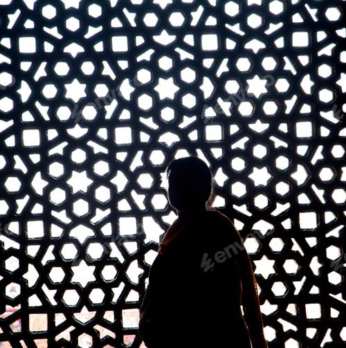 Preview: Indian woman in front of stone carving window