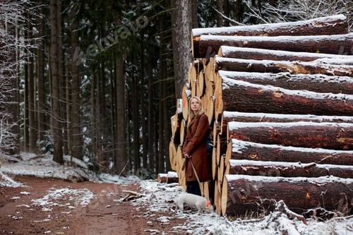 Preview: Beautiful blonde woman with a dog in pines forest in snow time