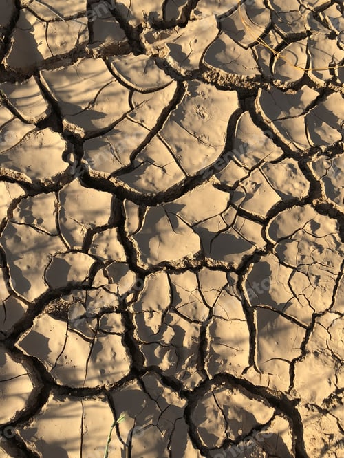 Preview: Cracked Earth Texture in Dry Desert Landscape