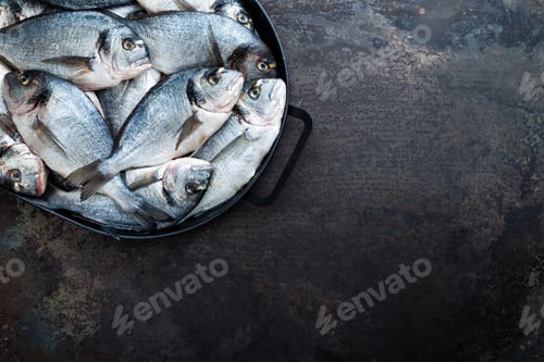 Preview: Fish. Fresh sea bream. Raw dorado fish