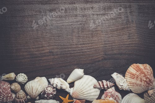 Preview: different seashells on the brown wooden background