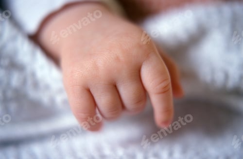 Preview: 2010425-001