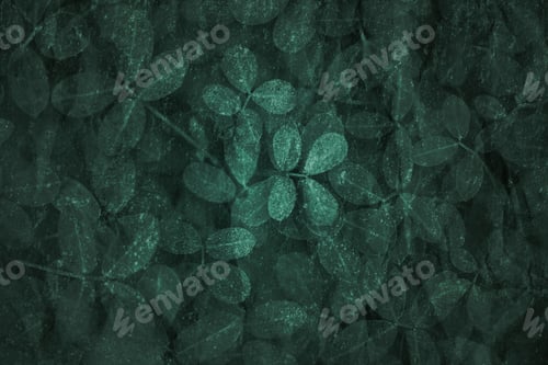 Preview: Dark green leaf pattern textured backdrop