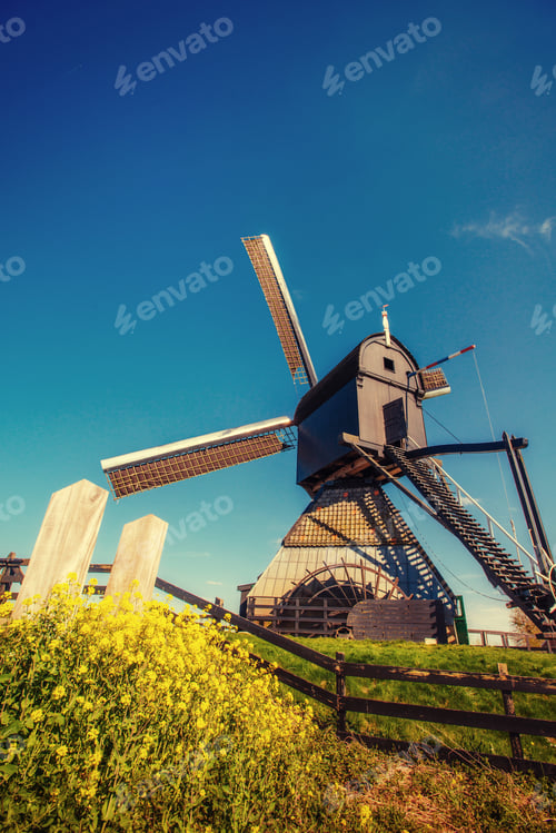 Preview: Old Dutch windmills spring from the canal in Rotterdam. Holland