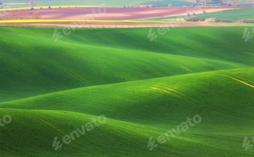 Preview: Minimalistic landscape with green fields, rolling hills at sunri