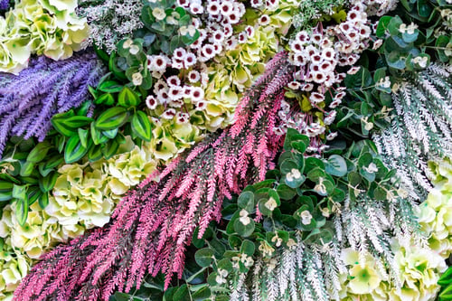 Preview: multi color flowers, green leaves, press-wall, background, romantic spring background texture
