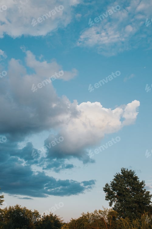 Preview: Beautiful background of clouds over trees