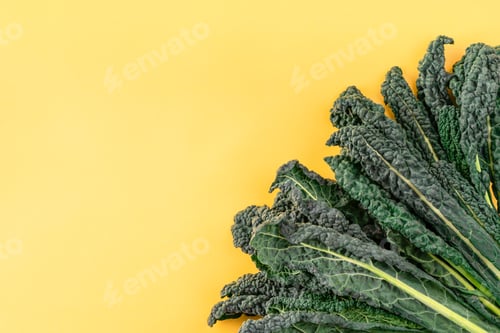 Preview: Kale leaves salad vegetable on yellow background. black kale, italian kale, tuscan kale. Top view