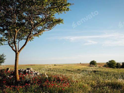 Preview: Beautiful rural landscape featuring a lone tree, wildflowers, and an expansive field on a sunny day