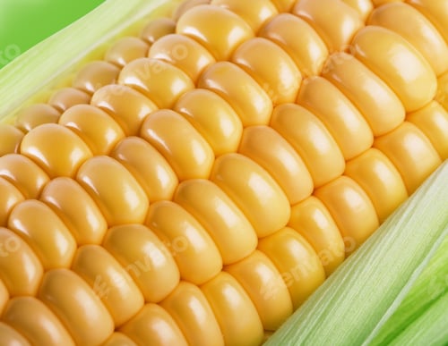 Preview: Fragment of a cob of ripe yellow corn in leaves
