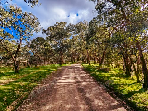 Preview: Victorian Rural Country Landscape in Australia