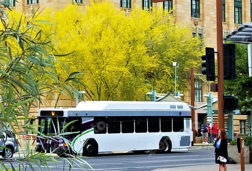 Preview: People In Spring! People in the city in spring!