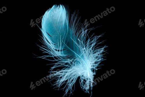 Preview: blue bright textured and lightweight feather isolated on black