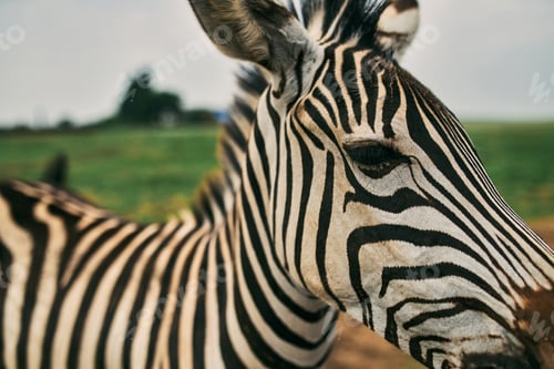 Preview: Hiking and recreation