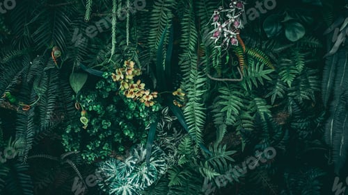 Preview: Close up tropical Green leaves texture and abstract background., Nature concept., dark tone.