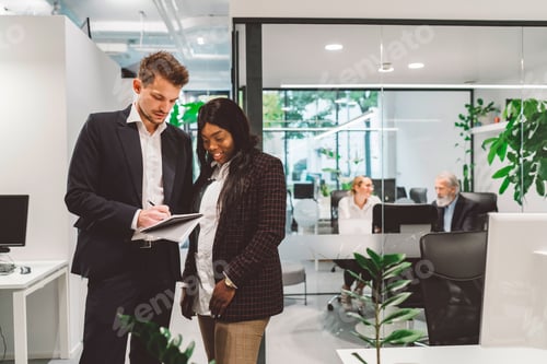 Preview: Afroamerican young business woman and her caucasian colleague standing next to each other, man