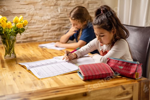 Preview: Two teen girls of ten years old children at home lessons, homeschooling, lectures, elementary school