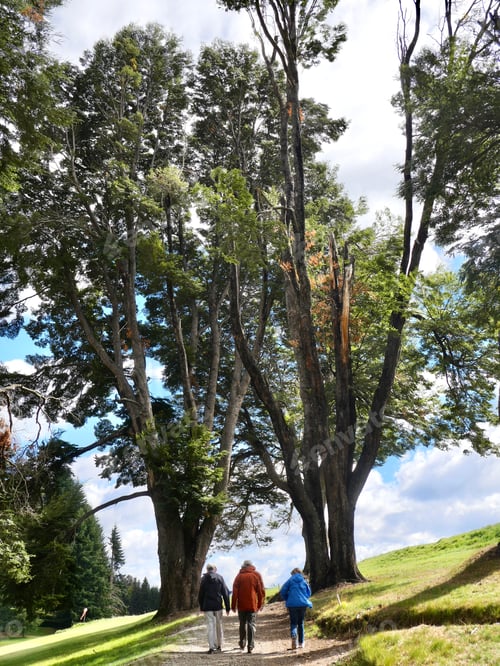 Preview: People walking in nature