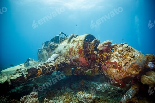 Preview: Sunken plane resting on the ocean floor