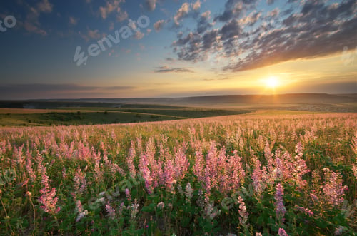 Preview: Spring meadow of flowers.