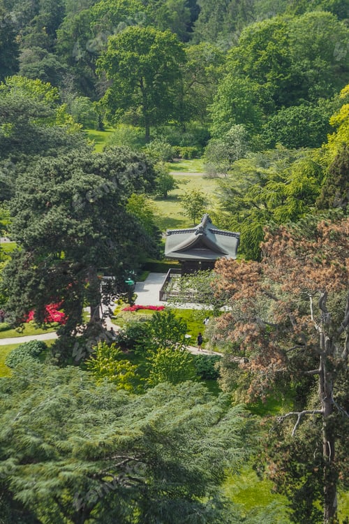 Preview: Idyllic rural scenery with a house surrounded by trees and bushes in a vast field
