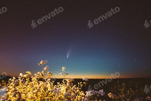 Preview: Europe. 18 July 2020. Comet Neowise C 2020 F3 In Night Starry Sky Above Flowering Buckwheat