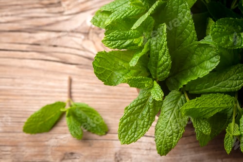 Preview: Fresh mint on the wooden background