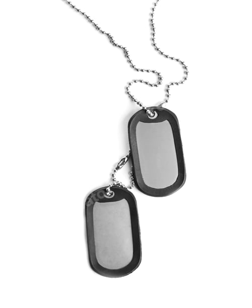 Preview: Blank military ID tags isolated on white