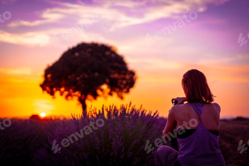 Preview: A woman photographs at sunset in a lavender field taking a photo, Brihuega. Guadalajara, Spain.