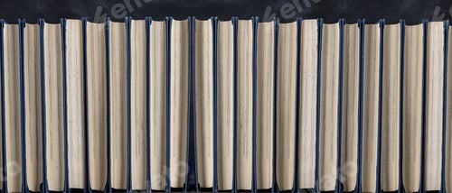 Preview: Shelf with books in a row on a black background