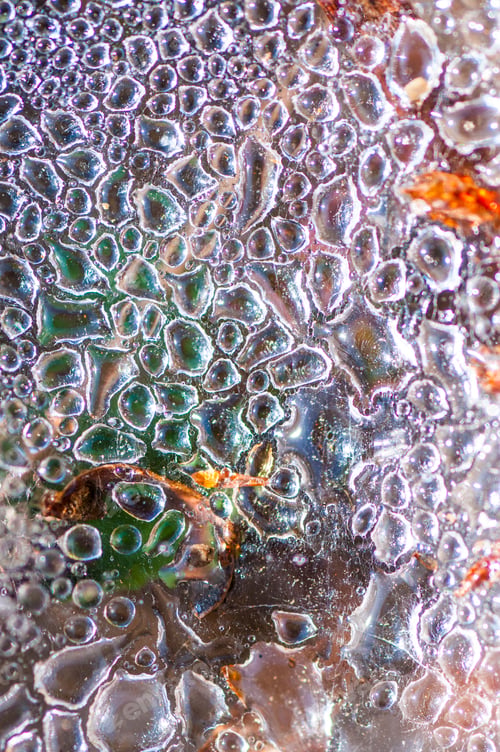 Preview: Dew drops closeup abstract nature background