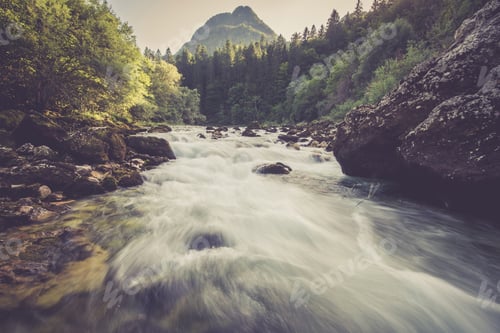 Preview: Mountain river in the green forest