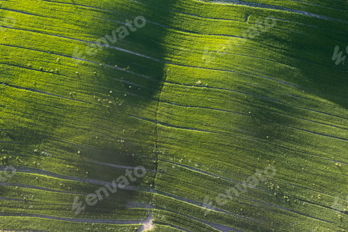 Preview: Aerial view of a cultivated field in spring