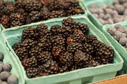 Preview: Carton Of Blackberries Being Sold At Farmers Market In Asheville North Carolina