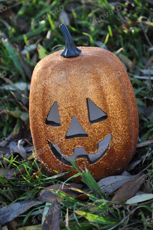 Preview: Halloween pumpkin on grass. , broken on ground. Blades of grass with frost on them. Selectiva focus