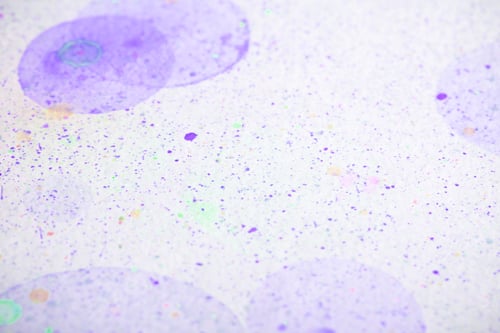 Preview: Bright Paint On White Paper Background Image