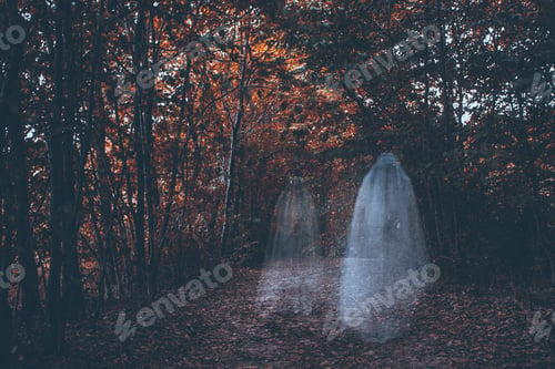 Preview: Ghost in the woods at night