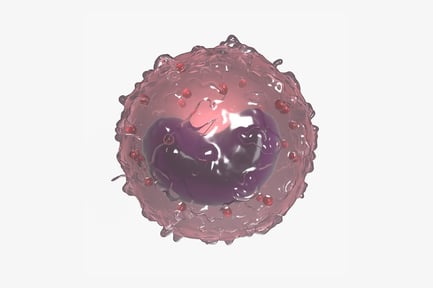 Preview: Detailed Lymphocyte Cell