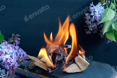 Preview: Book burning