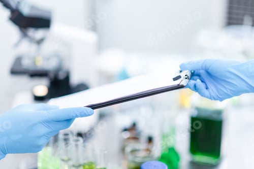 Preview: Collaboration of researchers in the laboratory For alternative energy research