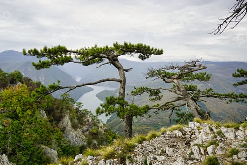 Preview: River Drina in Serbia. Landscape from mountain Tara