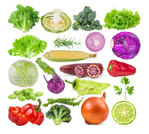 Preview: set of vegetable on white background