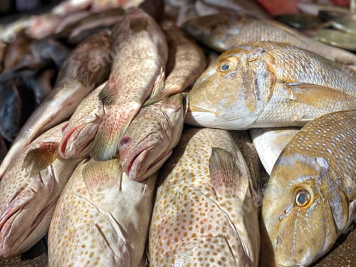 Preview: Healthy omega3 seafood fish for sale at local fish market