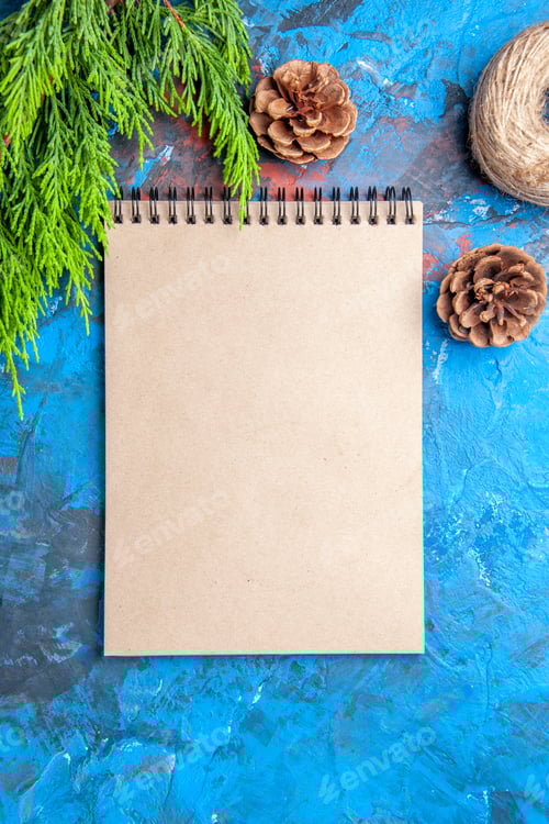 Preview: top view a notebook pine tree branch and cones on blue-red background