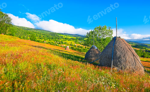 Preview: Beautiful countryside landscape with forested hills and haystacks on a grassy rural field