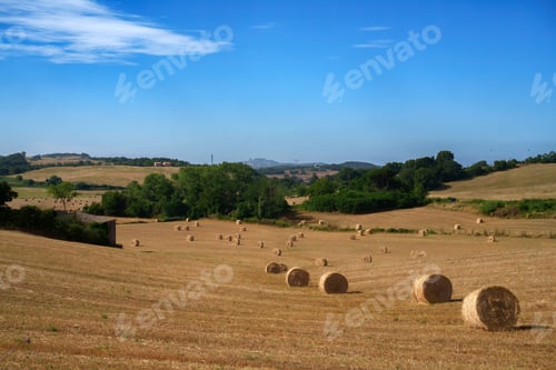 Preview: Rural landscape near Bolsena, Lazio, Italy
