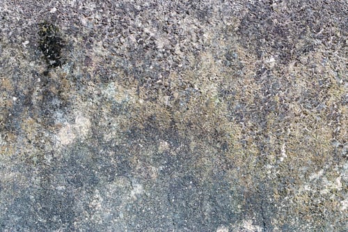 Preview: Light Gray Stucco Wall Texture. Abstract Background