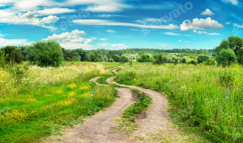 Preview: Country road in field